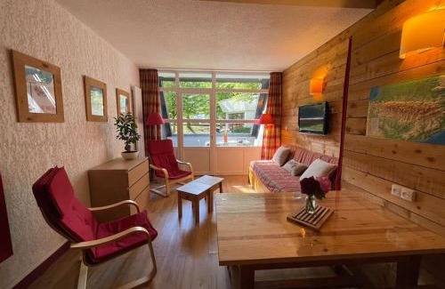 Saint-Lary-Soulan Apartment | T2 classé 3 étoiles coeur de village et Piscine ext