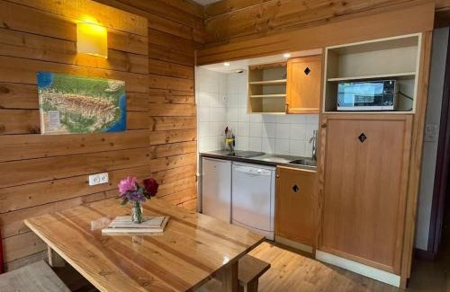 Saint-Lary-Soulan Apartment | T2 classé 3 étoiles coeur de village et Piscine ext
