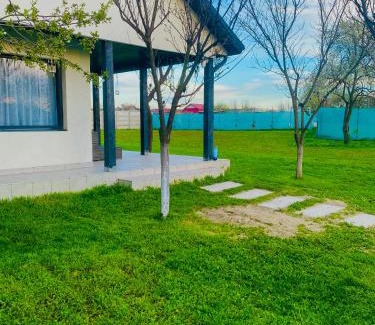 Plosca House | Tacchini's Home