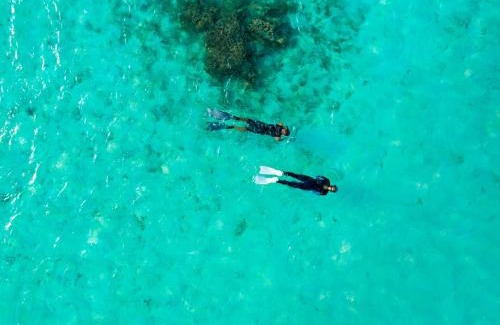 Kanifinolhu Island Resort | Taj Coral Reef Resort & Spa,Maldives - Premium All Inclusive with Free Transfers