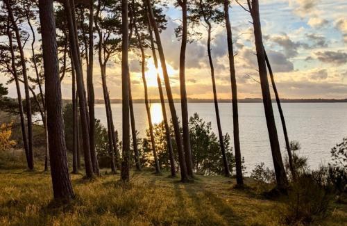Hohen Wieschendorf Apartment | Tallskog - Dein Apartment am Naturstrand Hohen Wieschendorf