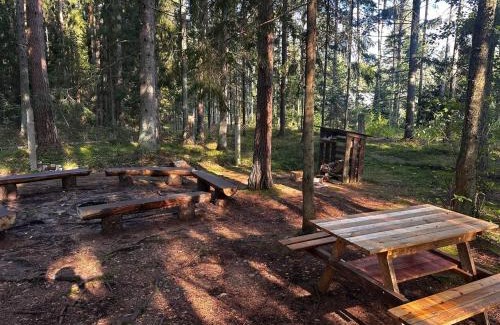 Kuusalu Parish Other | Tammispea puhkeküla