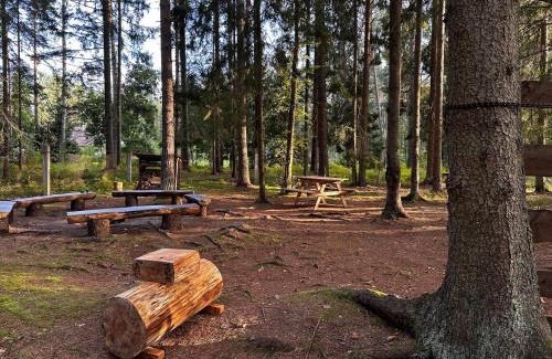 Kuusalu Parish Other | Tammispea puhkeküla