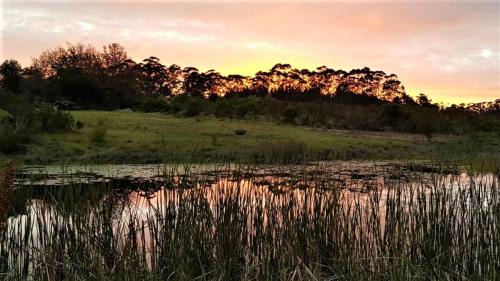 Keurboomstrand House | TAMO Guest Farm