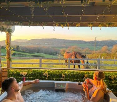Glanwydden Other | Tan Y Bryn Glamping