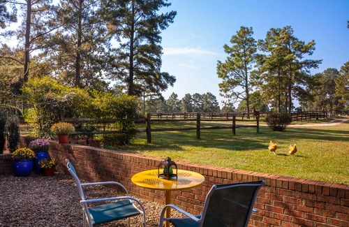 Southern Pines Apartment | Tanglewood Farm B&B - Fox Den Suite 1 BR/1BA Private Apartment on Horse Farm