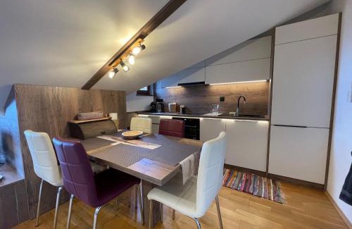 Velka Lomnica Apartment | Tatry Didi Apartment