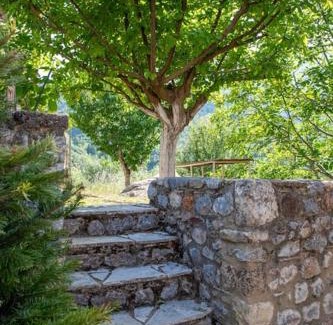Tripi House | Taygeti's mountain lodge