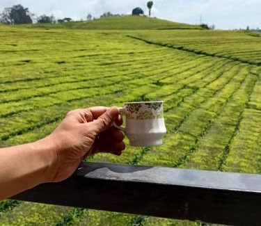 West Mere House | Tea Estate view stay