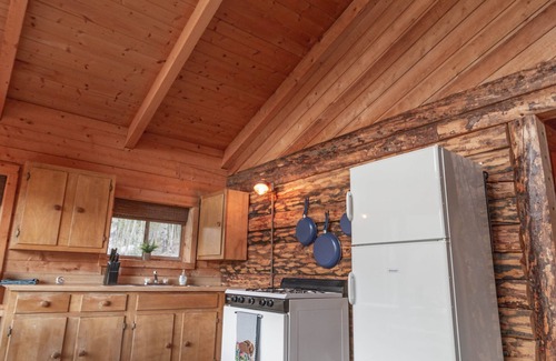 Lake City Cabin | Technology Free & Dogs are Welcome
