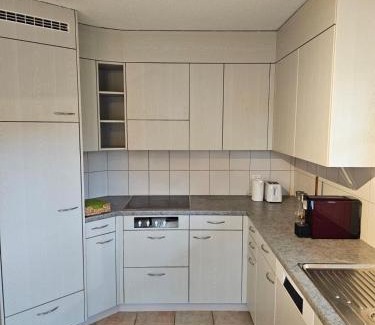 Tegerfelden Apartment | Tegerfelden Weinregion