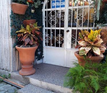 Santo Domingo Hotel | Temazcal casa gema