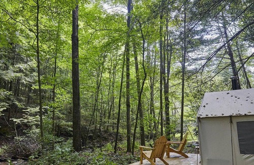Delancey RV Rental | Tentrr Signature Site - Huntley Hollow Brook