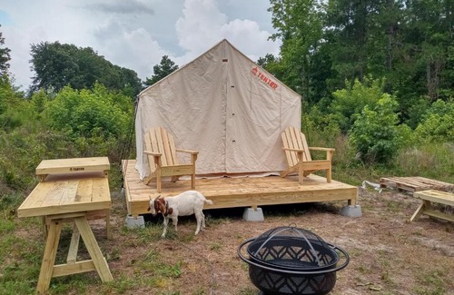 Little Rock Other | Tentrr Signature Site - The Great Southern Jordan Ranch & Family Farms