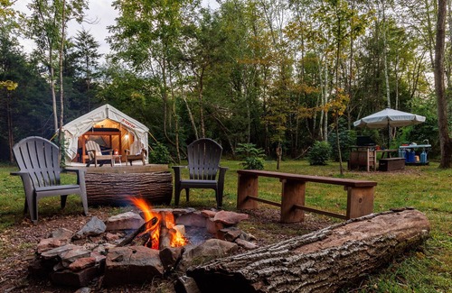 Ottsville RV Rental | Tentrr Signature Site - Nockamixon Forest Camp