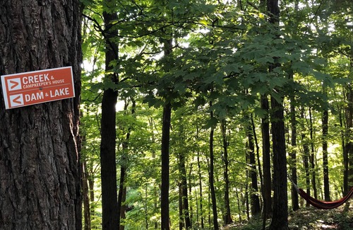 Ottsville RV Rental | Tentrr Signature Site - Nockamixon Forest Camp