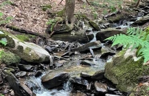 Swan Lake RV Rental | Tentrr Signature Site - Twin Creeks Signature Campsite