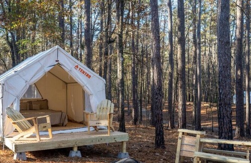 Quitman RV Rental | Tentrr State Park Site - Mississippi Clarkco State Park - Woodland B - Double Ca