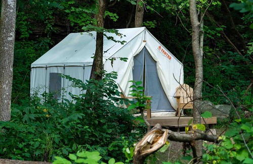 Ansted RV Rental | Tentrr State Park Site - WV Hawk's Nest State Park - Site D - Single Camp