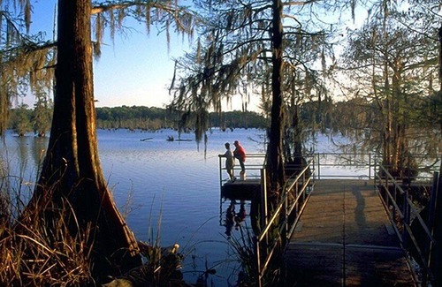 Saint Landry RV Rental | Tentrr State Park Site - Louisiana Chicot State Park - Site A - Single Camp