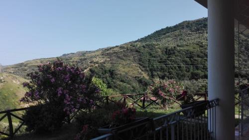 Squillace House | Tenuta Agrituristica Castellesi