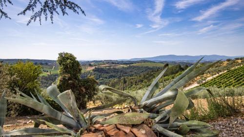 Poggibonsi Villa | TENUTA DI MACERICCA 10, Emma Villas