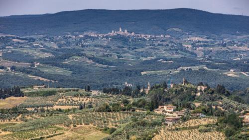 Poggibonsi Villa | TENUTA DI MACERICCA 10, Emma Villas