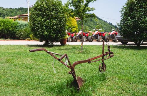 Fagnano Castello Bed & Breakfast | Tenuta MalescioQuintieri