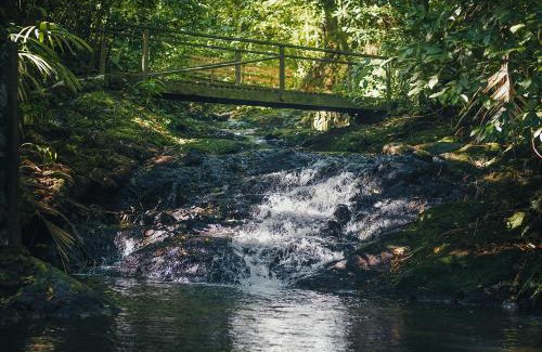 Quesada Hotel | Termales del Bosque & Hot Springs