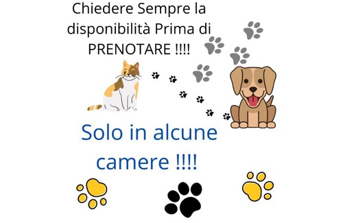 Frosinone Bed & Breakfast | Terra Ciociara B&B