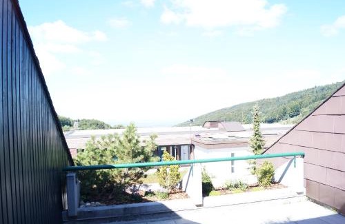 Sasbachwalden Apartment | Terrassenpark Apartments