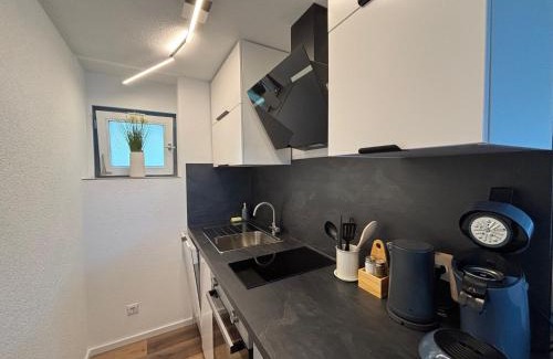 Sasbachwalden Apartment | Terrassenpark Apartments (Premium Rooms)