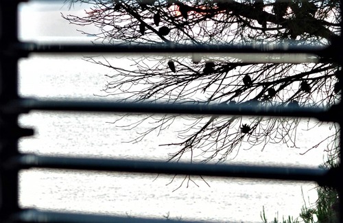 Macari Villa | TerrazzAmare (house "di su") by the sea