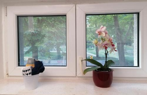 Split Apartment | Teta