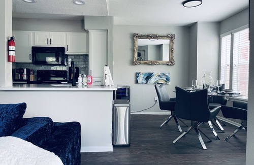 Astrodome Apartment | Texas Medical Center family friendly Apartment