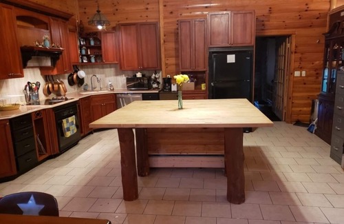Arenac County House | tGorgeous 4BR Log Retreat on 40 Acres —Pond View – Mid-Michigan—sleeps 11+