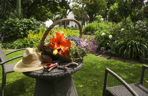 Bettystown House | Thatcher’s Rest Cottage