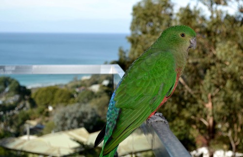 Wye River House | That’s Wye - Fabulous ocean views - 4 Bedroom House