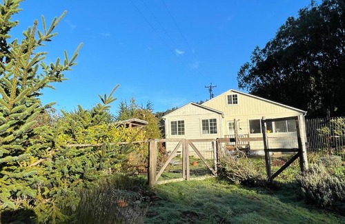 Albion House | The Albion Haus