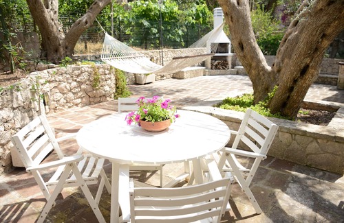 Santa Cesarea Terme Villa | The Ancient Olive Tree-The Garden-Villa between sea and pine forest