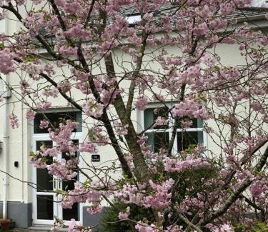 Saint Columb Major Apartment | The Annexe, Tregoose House