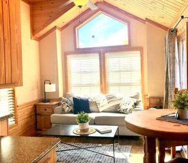 Austin House | The Armadillo Cabin - Cabins At Rim Rock