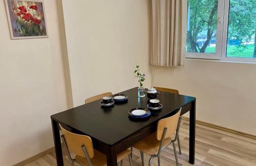 Vidin Apartment | The art place