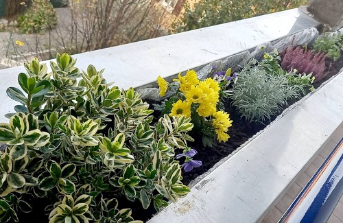 Bustecche Apartment | The attic with the vegetable garden