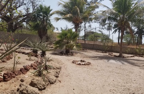Palmarin House | The baobab house