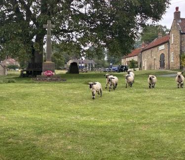 Hutton le Hole House | The Barn Guest House and Tearoom