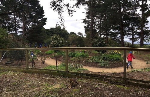 Main Ridge House | The Bayview Estate - from the vines to the sea