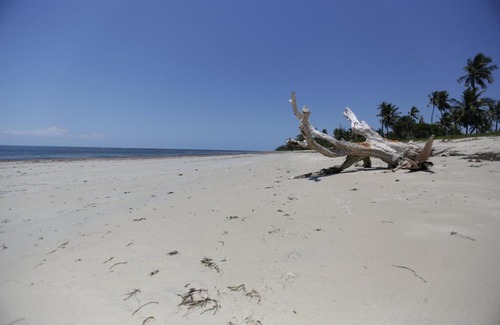 Pangani Hotel | The Beach Crab Resort