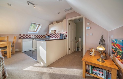 Garrettstown Cabin | The Bird House - Woodland & Coastal Lodge nr. Kinsale and Old Head Golf Course