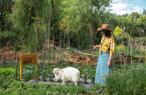 Shuhe Old Town Hotel | The Bivou Lijiang